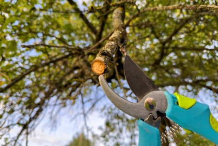 Guide pratique pour un entretien de jardin réussi toutes les saisons