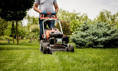 Débroussaillage efficace, les méthodes et outils recommandés par les pros