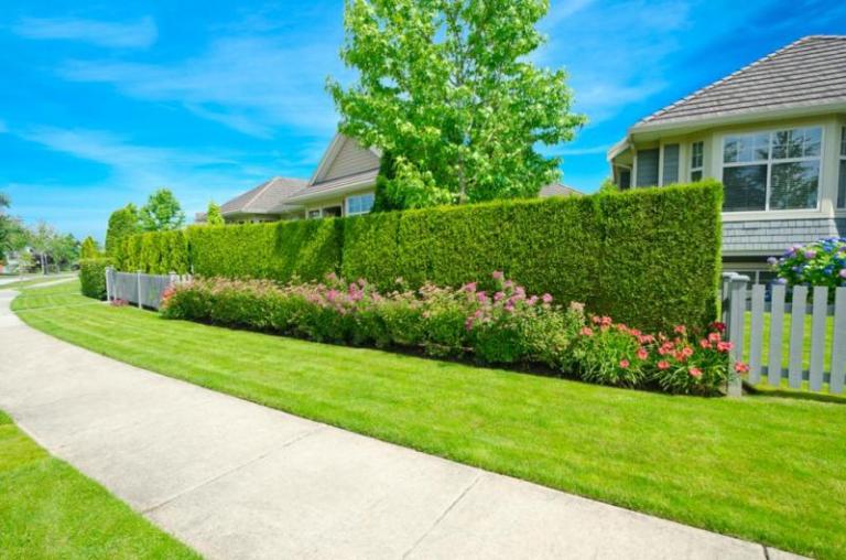 Tonte de pelouse à Valmont, astuces professionnelles pour un gazon impeccable